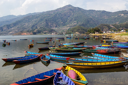 colorful boats on pokhara lake (nepal), colorful, lake, mooring, mountains, pokhara, river boats