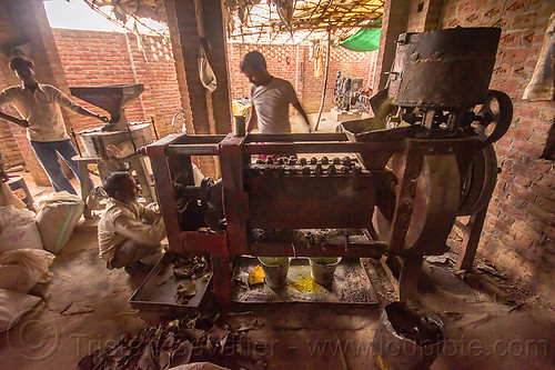 communal oil press machine in indian village, khoaja phool, machine, oil press, village, खोअजा फूल