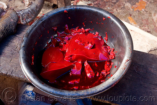 congealed blood from water buffalo in meat market (laos), beef, congealed blood, cow blood, meat market, meat shop, raw blood, raw meat, red, water buffalo