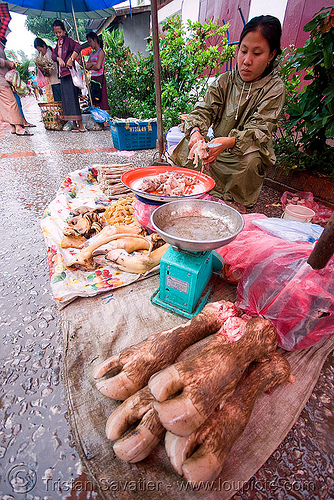 cow feet on the market, beef, cow feet, luang prabang, marlet, meat market, meat shop, raw meat, water buffalo