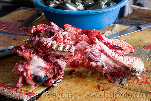 cow head in meat market (laos), beef, cow head, eye, meat market, meat shop, raw meat, teeth, water buffalo