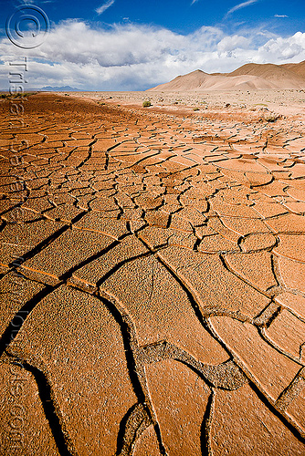 cracked mud - desert, altiplano, argentina, cracked mud, drought, dry mud, dry spell, landscape, noroeste argentino, pampa
