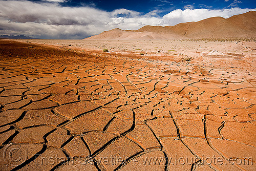 cracked mud - dry desert, altiplano, argentina, cracked mud, drought, dry mud, dry spell, landscape, noroeste argentino, pampa