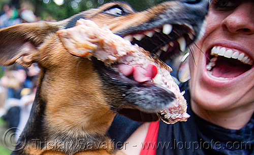 crazy dog with bone - hound, dirty bird party, dog, hound, mouth, raw meat, teeth, woman