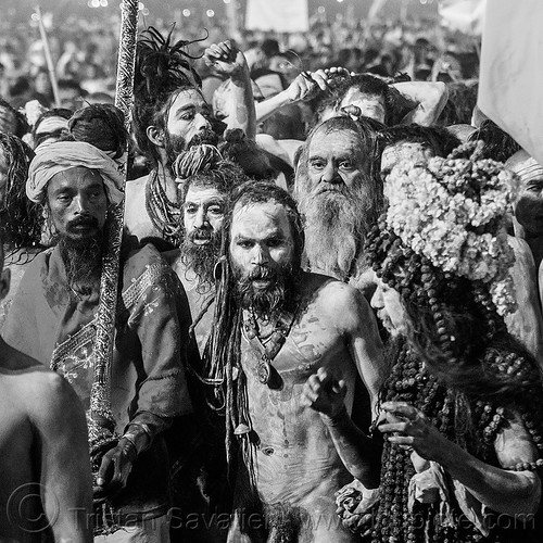 crowd of naga babas (hindu holy men) - kumbh mela 2013 (india), crowd, dawn, flower necklaces, hindu pilgrimage, hinduism, holy ash, kumbh mela, marigold flowers, men, naga babas, naga sadhus, night, sacred ash, sadhu, triveni sangam, vasant panchami snan, vibhuti, walking