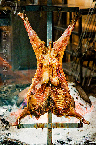 crucified lamb barbecue roasting in restaurant (buenos aires), argentina, asado, barbecue, bbq, buenos aires, carcass, cooked, cooking, crucified lamb, la estancia, lambs, meat, restaurant, ribs, roasting, wood fire