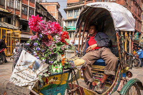 cycle rickshaw driver napping - kathmandu (nepal), cycle rickshaw, flowers, kathmandu, man, napping, sleeping