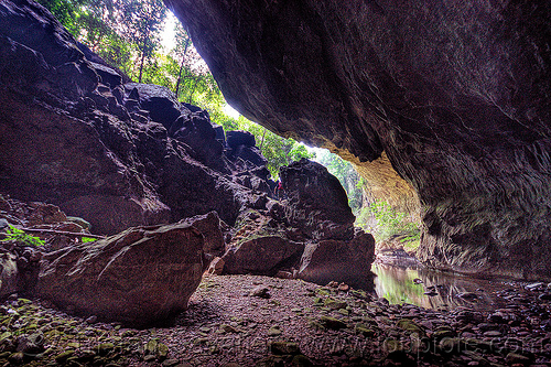deer cave - mulu (borneo), backlight, borneo, cave mouth, caving, deer cave, garden of eden, gunung mulu national park, jungle, malaysia, natural cave, rain forest, spelunking, trees
