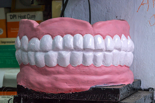 denture model in dental office (india), almora, dentist, denture, teeth