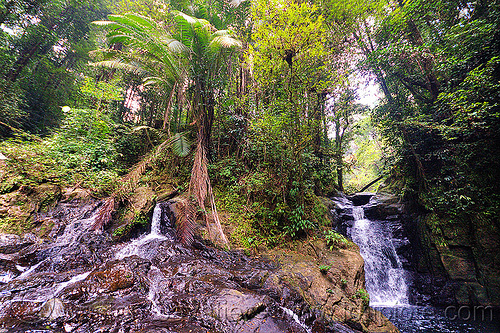 double waterfall - garden of eden - mulu (borneo), borneo, falls, gunung mulu national park, jungle, malaysia, rain forest, river, waterfall