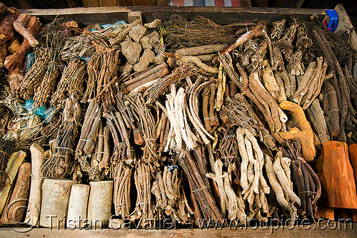 dried medicinal roots (laos), medicinal herbs, medicinal plants