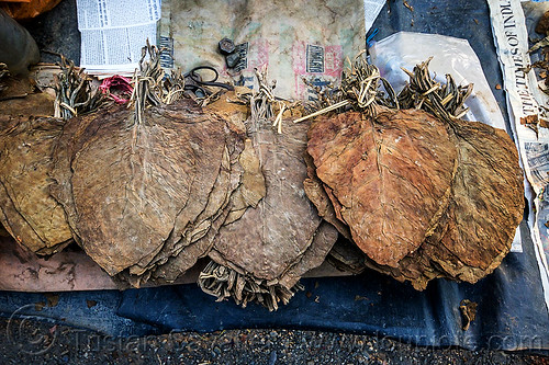 dried tobacco leaves (india), dried, gairkata, stall, street market, tobacco leaves, west bengal