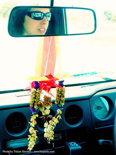 driving - anke-rega, cross-processed, dashboard, flowers, offering, rearview mirror, sunglasses, woman