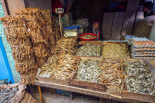 dry fish market - darjeeling (india), bundled, bundles, darjeeling, dried fish, dry fish, eggs, fishes, man, merchant, shop, stall, store, vendor