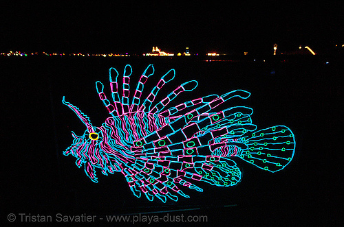 el-wire fish - burning man 2006, burning man at night, el-wire, electroluminescent wire, fish, glowing