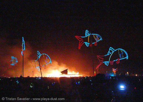 el-wire fishes - burning man 2005, burning man at night, el-wire, electroluminescent wire, fire, fishes, glowing