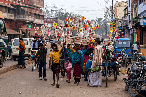 electric flowers for wedding (india), electric, flowers, indian women, men, traffic, transport, transporting, varanasi, walking, wedding