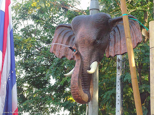 elephant head fountain - thailand, chiang mai, elephamt, elephant sculpture, elephant statue, fountain, head, songkran, thai new year, trunk, ช้างเผือก, สงกรานต์, เชียงใหม่