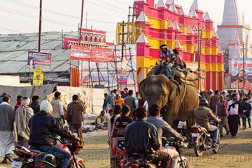 elephant riding in street traffic - kumbh mela 2013 (india), ashram, asian elephant, crowd, elephant riding, hindu pilgrimage, hinduism, kumbh mela, mahout, man, motorcycles, traffic
