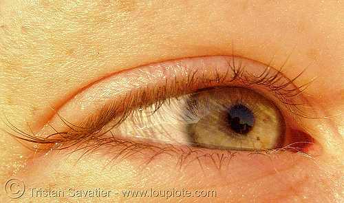 emily's eye, beautiful eyes, closeup, eye color, eyelashes, iris, woman
