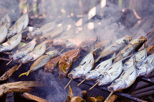 fish being smoked - tamansarari village near probolingo (java), fishes, food, grill, skewers, smoke, smoked fish, smoking, tamansari