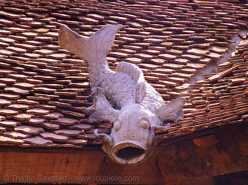 fish decoration on roof - vietnam, cat ba island, chinese, cát bà, decoration, fish, red, roof, tiles
