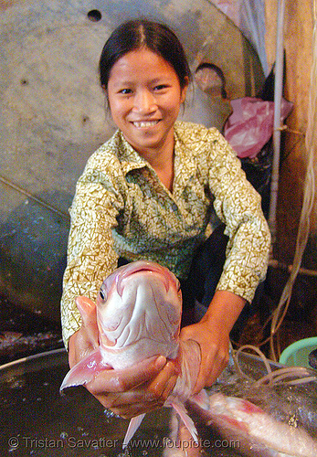 fish market - girl - vietnam, asian woman, cho hang da market, fish market, fresh fish, hanoi, merchant, phồ hàng da, raw fish, vendor