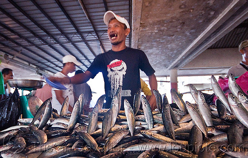 fish market merchant, borneo, dead fishes jumping, fish market, food, fresh fish, lahad datu, malaysia, men, merchant, raw fish, seafood, vendors