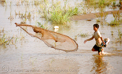 fisherman throwing net - mekong river, fisherman, fishing net, man, mekong, river, throwing, vientiane, wading