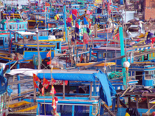 fishing trawlers in harbor - phan thiet - vietnam, colorful, fishing boats, fishing trawlers, harbor, moored, mooring, phan thiet, sea