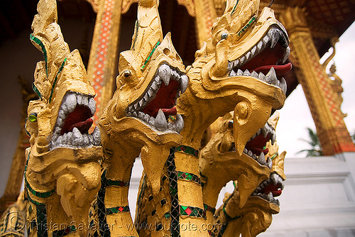 five-headed snake in temple - nāga - luang prabang (laos), buddhism, five headed, luang prabang, naga snake, nāga dragon, nāga snake, sculpture