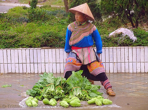 flower h'mong woman selling vegetable - vietnam, colorful, farmers market, flower h'mong tribe, flower hmong, hill tribes, indigenous, salads, street market, street seller, vegetables