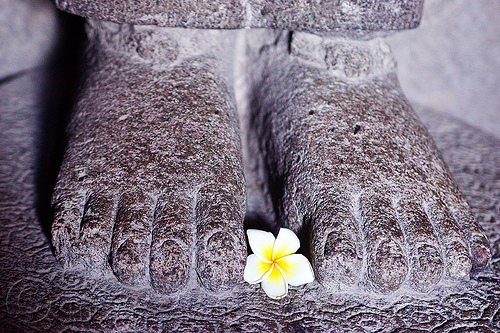 frangipani flower offering at feet of hindu deity statue - prambanan (java), archaeology, brahma, candi prambanan, feet, flower, frangipani, hindu temple, hinduism, offering, plumeria, ruins, sculpture, statue