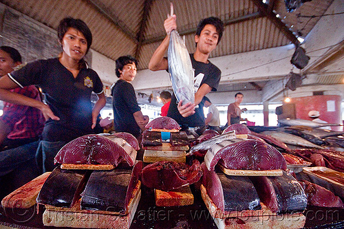 fresh tuna fish, borneo, fish market, fishes, food, fresh fish, lahad datu, malaysia, men, merchant, raw fish, seafood, tuna, vendors