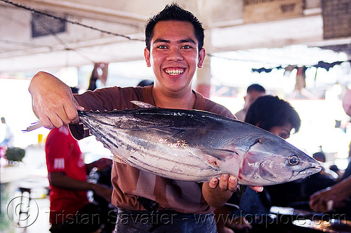 fresh tuna fish, borneo, fish market, fishes, fresh fish, lahad datu, malaysia, man, merchant, raw fish, tuna, vendor