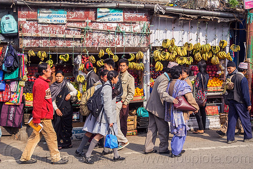fruit store with hands of banana hanging - darjeeling (india), bananas, darjeeling, fruits, gorkhaland, shop, store, street seller, walking