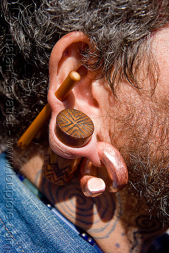 gauged ear with large plugs (san francisco), brass, ear gauging, ear piercings, ear rim piercing, earlobe, earring, gauged ears, helix piercing, jewelry, man, plug, stretched earlobes, stretched piercing, wood