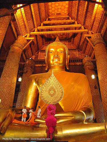 พระพุทธรูป - giant buddha statue in chinese temple - สุโขทัย - sukhothai - thailand, buddha image, buddha statue, buddhism, buddhist temple, chinese, cloth, cross-legged, golden color, sculpture, sukhothai, wat, พระพุทธรูป, สุโขทัย