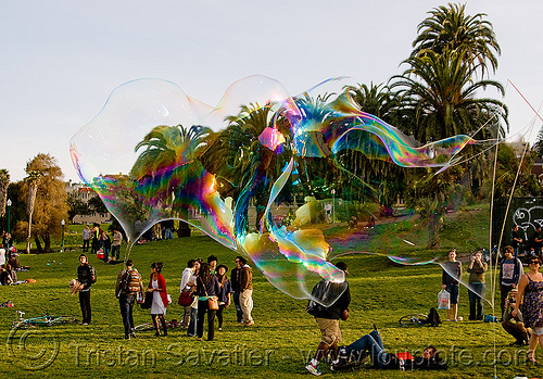 giant soap bubble, big bubble, giant bubble, iridescent, lawn, park, soap bubble