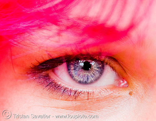 girl with pink hair - gay pride (san francisco), beautiful eyes, closeup, eye color, eyelashes, gay pride 2008, gay pride festival, iris, pink hair, woman