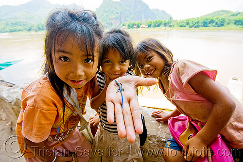 girls playing with small blue-tail lizard - "pak ou" caves near luang prabang (laos), blue-tail, blue-tailed, children, hand, kids, little girls, lizard, luang prabang, mekong, pak ou caves temples, river