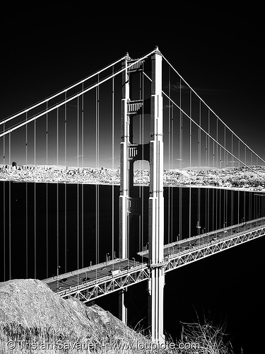 golden gate bridge north tower - daylight infrared photo(san francisco), black water, bridge pillar, bridge tower, golden gate bridge, near infrared, suspension bridge
