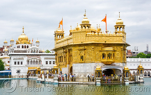 golden temple - amritsar (india), amritsar, golden temple, gurdwara, punjab, sikh, sikhism
