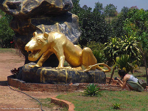 golden tiger - hindu park near phu ruea, west of loei (thailand), golden color, hindu, hinduism