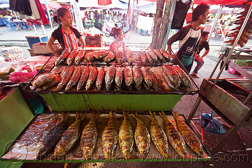grilled fishes - ramadan market - miri (borneo), bbq, borneo, cooked, cooking, fishes, food market, grill, kitchen, malaysia, man, miri, ramadan market, restaurant, seafood, street food, street market, street seller, woman