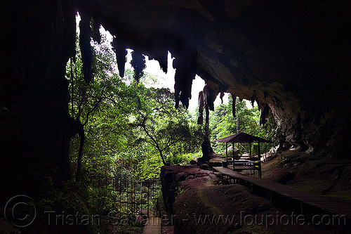 gua niah - natural cave (borneo), backlight, borneo, cave formations, cave mouth, caving, concretions, gua niah, jungle, malaysia, natural cave, niah caves, rain forest, speleothems, spelunking, stalactites