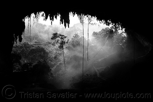 gua niah - natural cave in rain forest (borneo), backlight, birds-nest, borneo, cave formations, cave mouth, caving, concretions, fog, foggy, gua niah, hazy, landscape, malaysia, misty, natural cave, niah caves, rain forest, speleothems, spelunking, stalactites