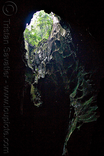 gua niah - sinkhole in roof of natural cave, backlight, borneo, cave mouth, caving, gua niah, jungle, malaysia, natural cave, niah caves, rain forest, sinkhole, spelunking