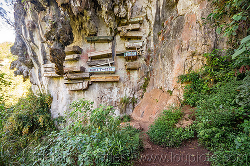 hanging coffins on cliff (philippines), burial site, cemetery, cliff, echo valley, grave, hanging coffins, sagada, tomb
