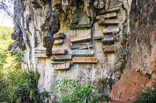 hanging coffins (philippines), burial site, cemetery, cliff, echo valley, grave, hanging coffins, sagada, tomb